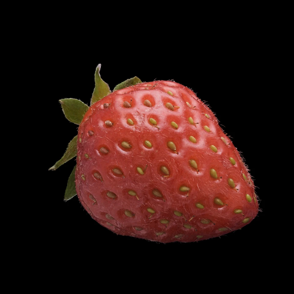 いちご1個にどれだけ手間をかけるのか――SuperSplatで見る「Strawberry」の異常な完成度