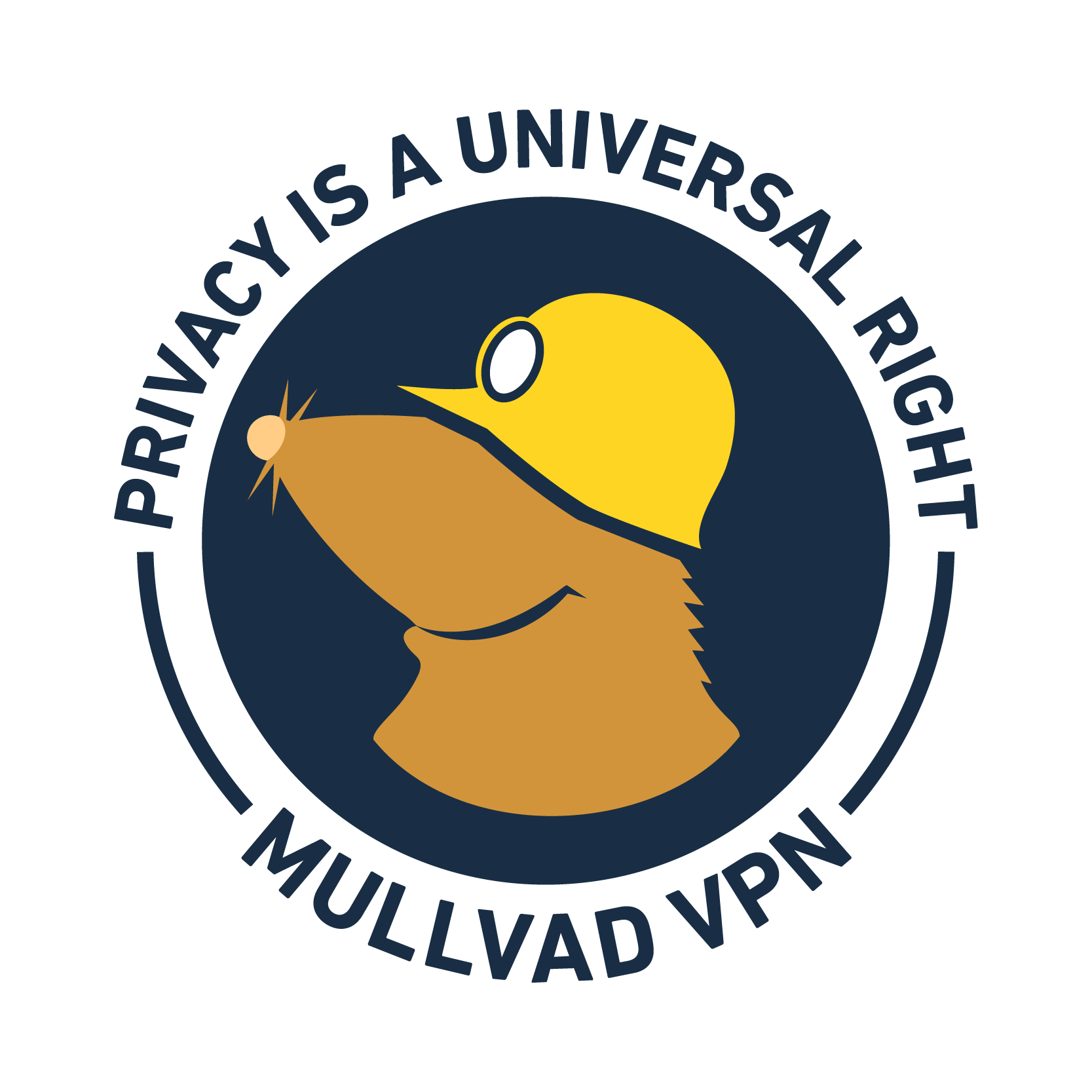Mullvad VPNが「出口IPの対策」を一部サーバーへ展開、何が起きているのか