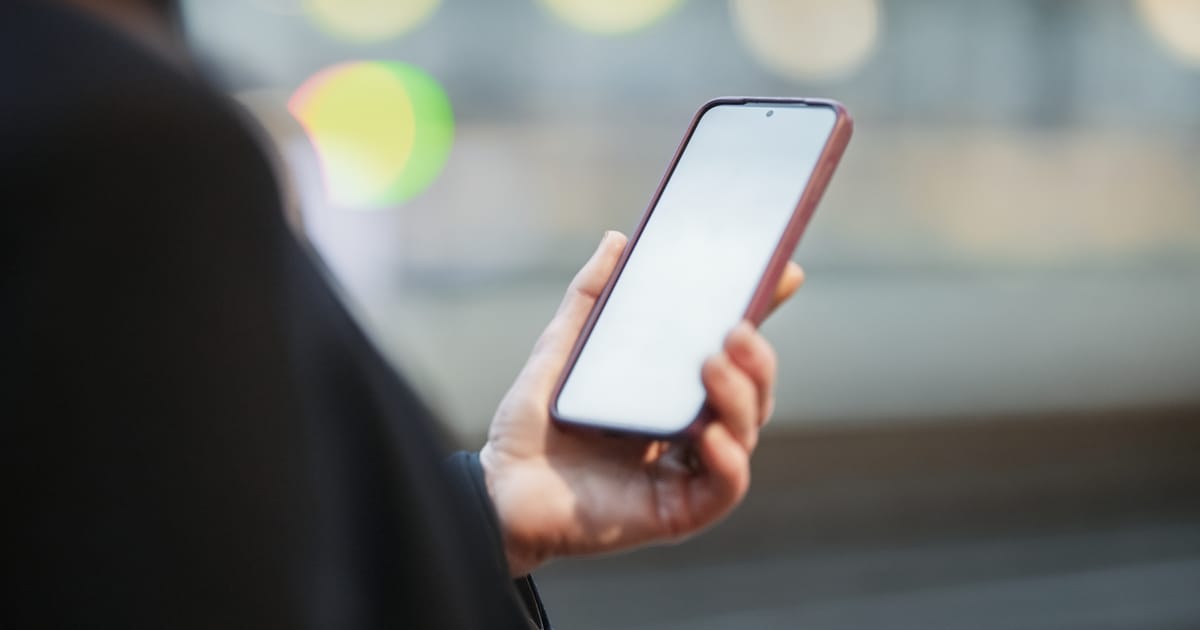 オランダが米企業の買収を止めた理由――「デジタル主権」が現実になってきた
